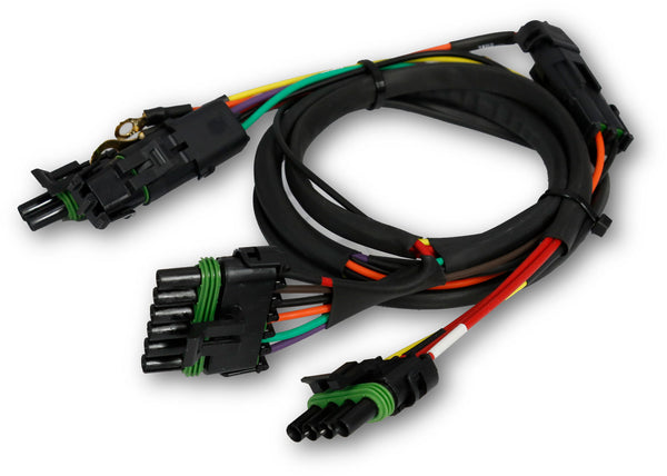 Quickcar Standard MSD Harness